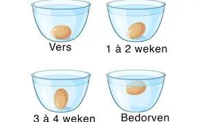 Ei goed of slecht