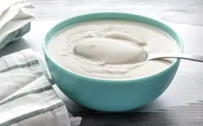 yoghurt of kwark