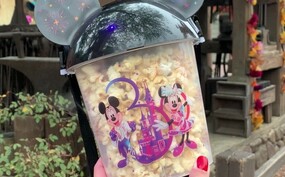 Disneyland Paris snack.jpg