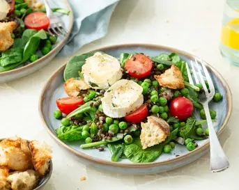 Salade van linzen, doperwten, munt en gegratineerde geitenkaas
