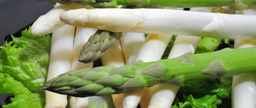 Asperges bij zwangerschap?