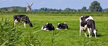 Duurzaam voedsel steeds populairder