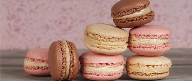 De dag van de Macaron