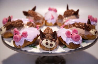 Zoete traktaties voor dierendag