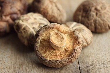 Shiitakes