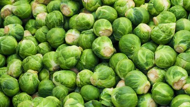 Spruitjes