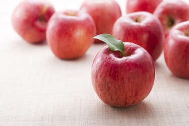 appel