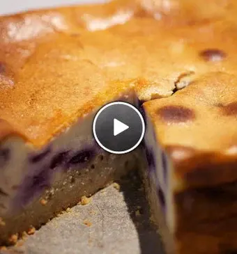 Blueberry cheesecake