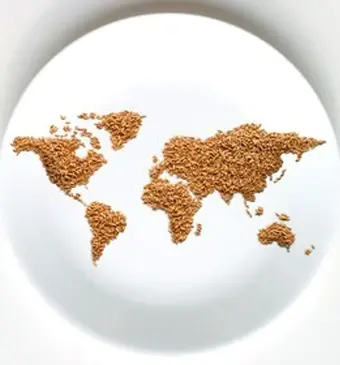 Lokaal of internationaal?