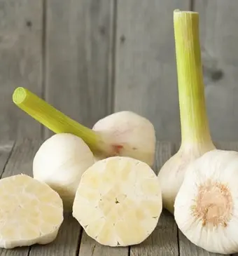 Verse of gedroogde knoflook?