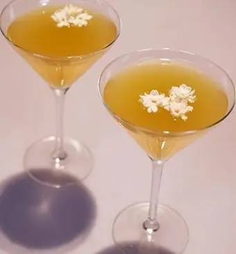 Jasmine kiss