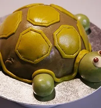 Justins schildpadtaart