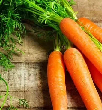 Wat is het verschil tussen wortel en peen?