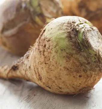 verschil tussen koolraap en knolraap?