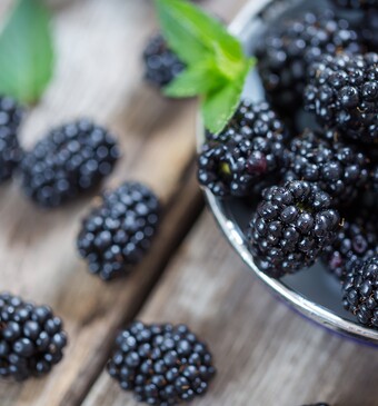 Het hele jaar door bramen