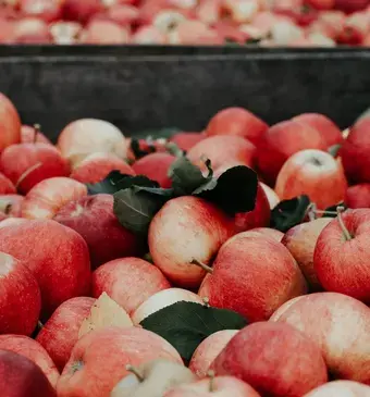Appels bewaren