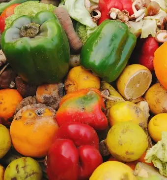 Groente en fruit