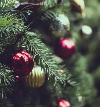 Kerstboom