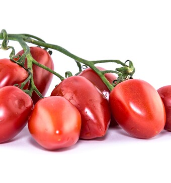 Datterino tomaten