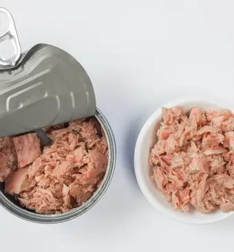 plantaardige tonijn