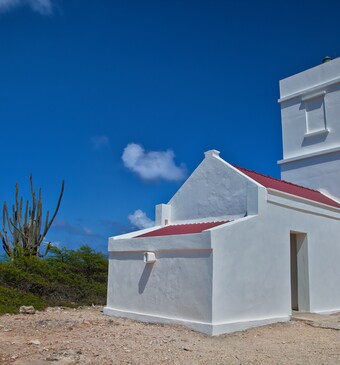 Bonaire huisje met cactus