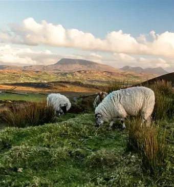 Hugo maakt Kennis: Ierland