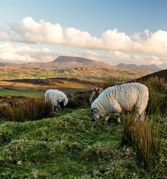 Hugo maakt Kennis: Ierland