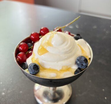 Frozen yoghurt met rood fruit
