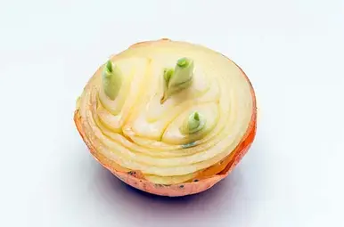 Miniatuurvoorbeeld