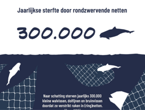 Miniatuurvoorbeeld