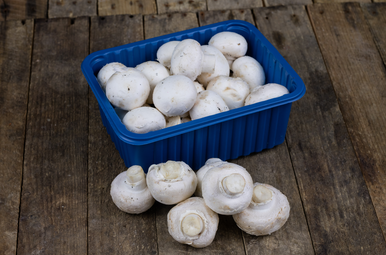 Champignon