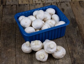 Champignon