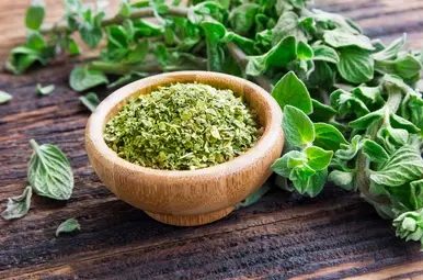 oregano