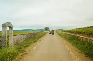 Een scooter die door de wijngaard rijdt.