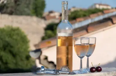 Twee glazen wijn met een fles en kersen.