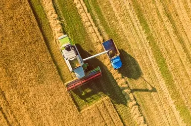 Werken op het land.