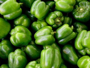 Groene paprika