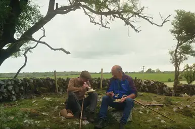 Hugo Maakt Kennis: Ierland- Pie