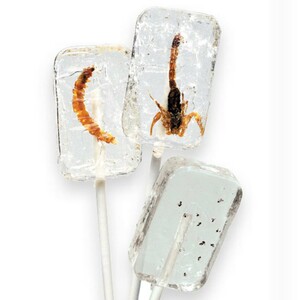 Insectenlolly