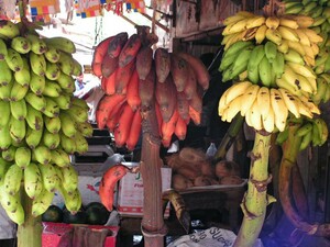 Rode bananen