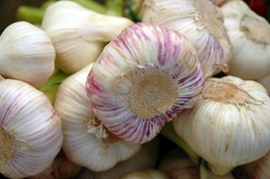 Knoflookkern