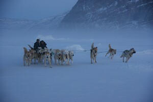 Film: Silent Snow