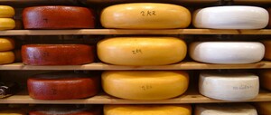 Kaas