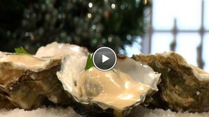 Gestoomde oesters met cocktailsaus