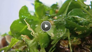 Salade met walnootdressing
