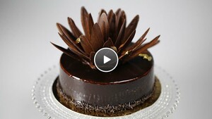 Chocoladetaart van Marc de Hond