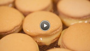 Macarons met witte chocoladeganache