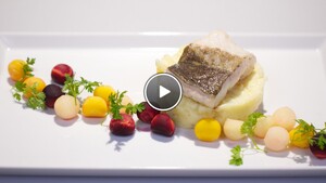 Gepekelde skrei met twee bereidingen van oerwortel