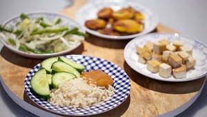 Kinder mini-rijsttafel
