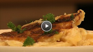 Aardappelgratin